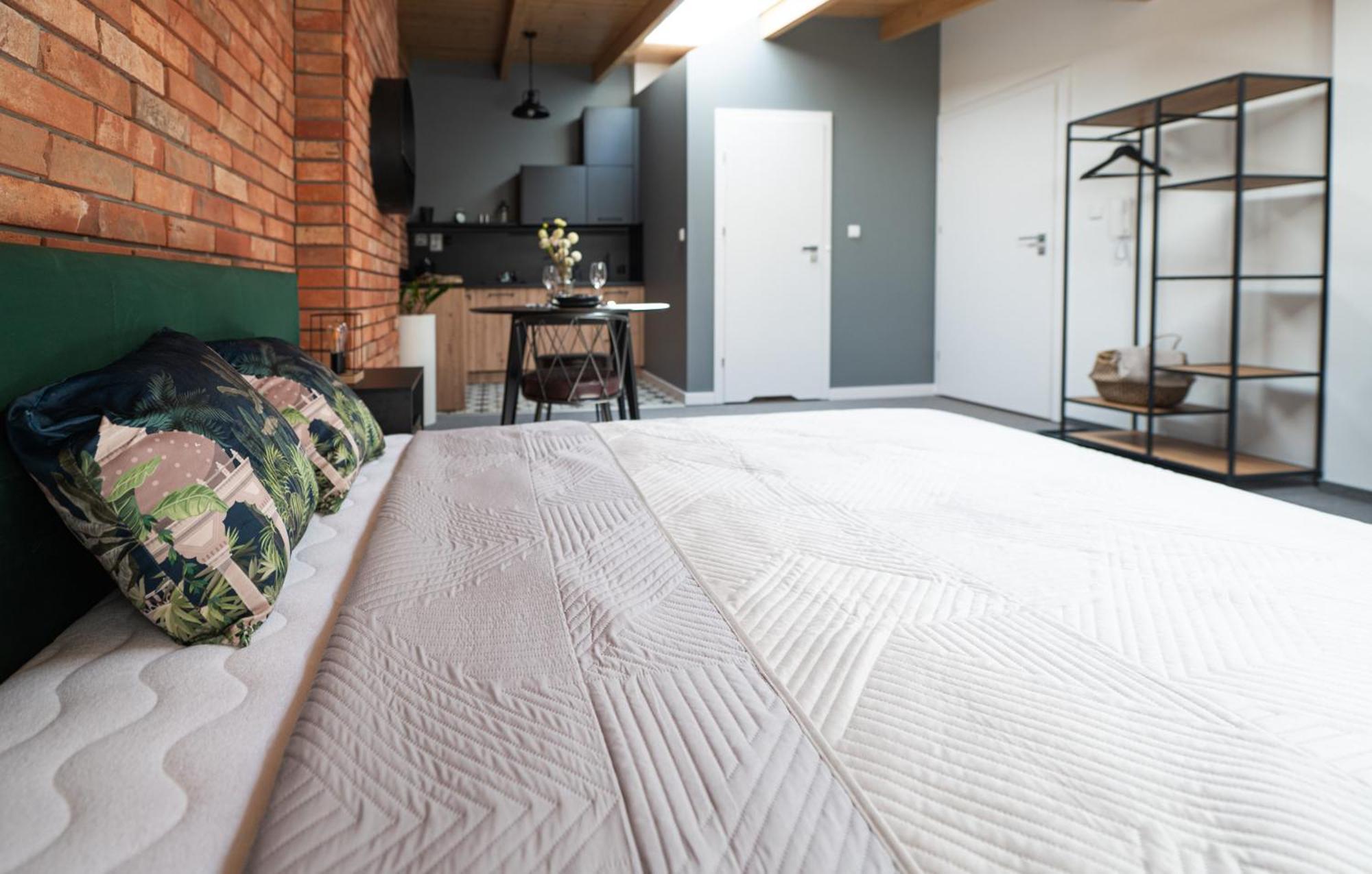 Apartamenty Mlynska 5 别尔斯克-比亚拉 外观 照片