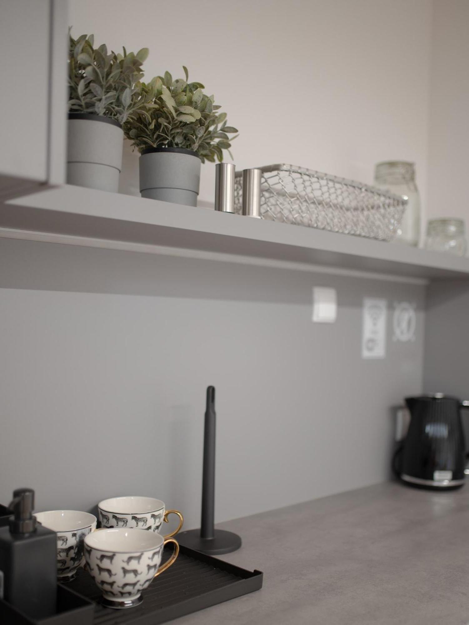Apartamenty Mlynska 5 别尔斯克-比亚拉 外观 照片